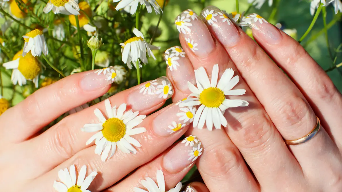 Beautiful nail design. Woman hands with camomile flowers