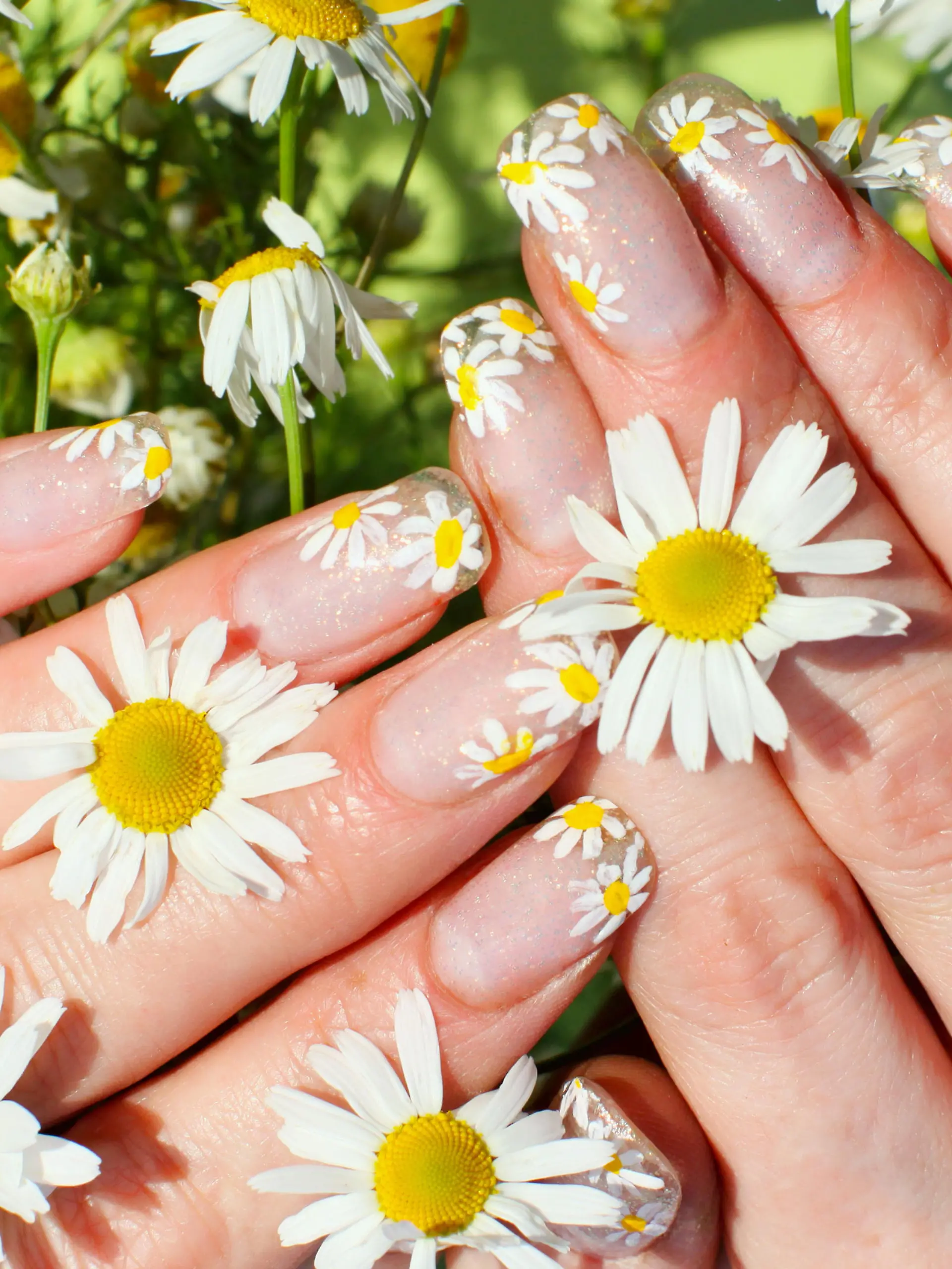 Beautiful nail design. Woman hands with camomile flowers