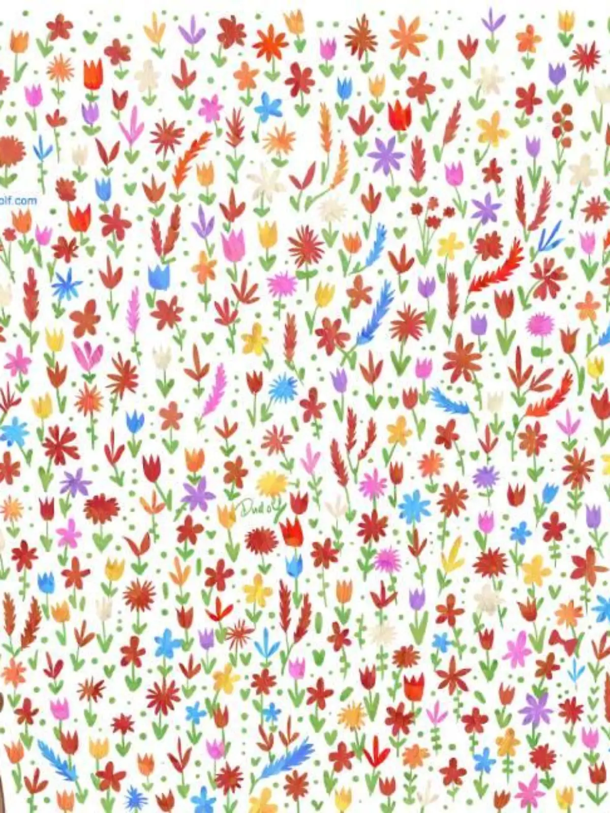 Bör mit vielen Blumen, darunter eine Fliege