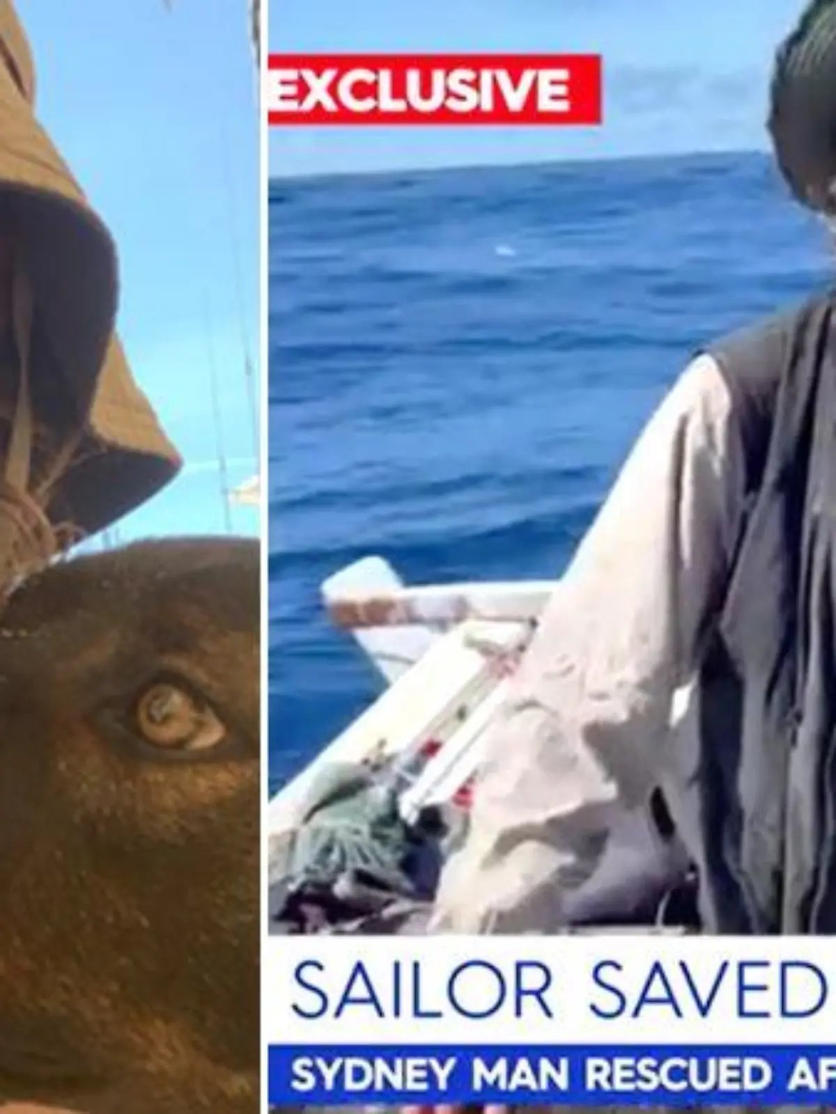 Diese Bootsfahrt war nicht lustig: Der Australier Tim Shaddock (51) und dessen Hund Bella überlebten drei Monate auf hoher See