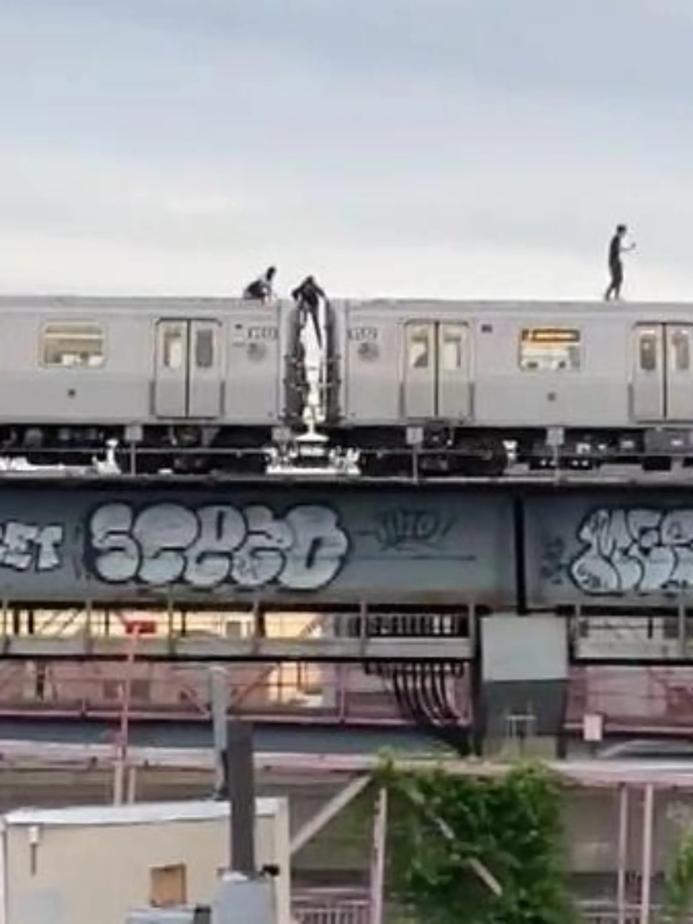 Eine Straßenbahn brettert über die Williamburg Bridge im New Yorker Stadtteil Brooklyn - auf ihrem Dach laufen mehrere Jugendliche. Sogenannte "Subway Surfer" sind am Freitag auf eine Bahn geklettert. Die leichtsinnige Aktion zeigen wir im Video.