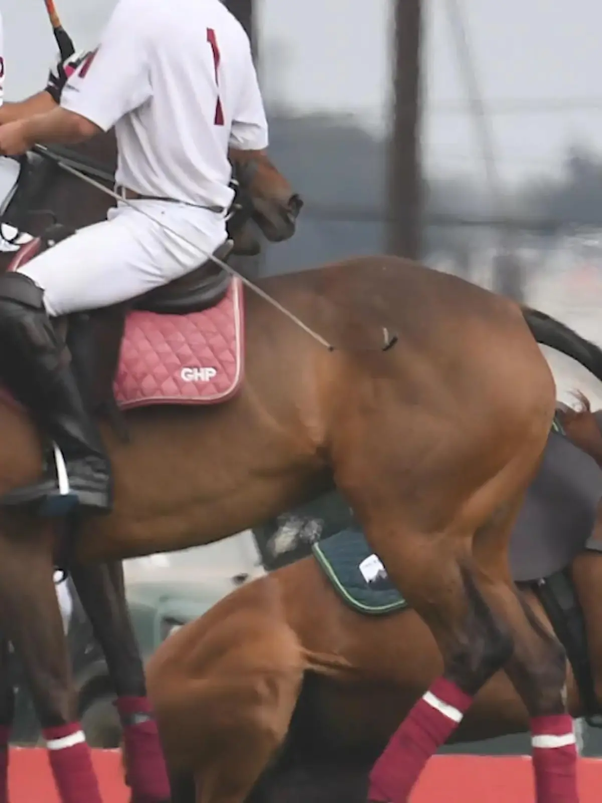 Bild zu: "Prinz Harry stürzt mit Pferd beim Polospiel"