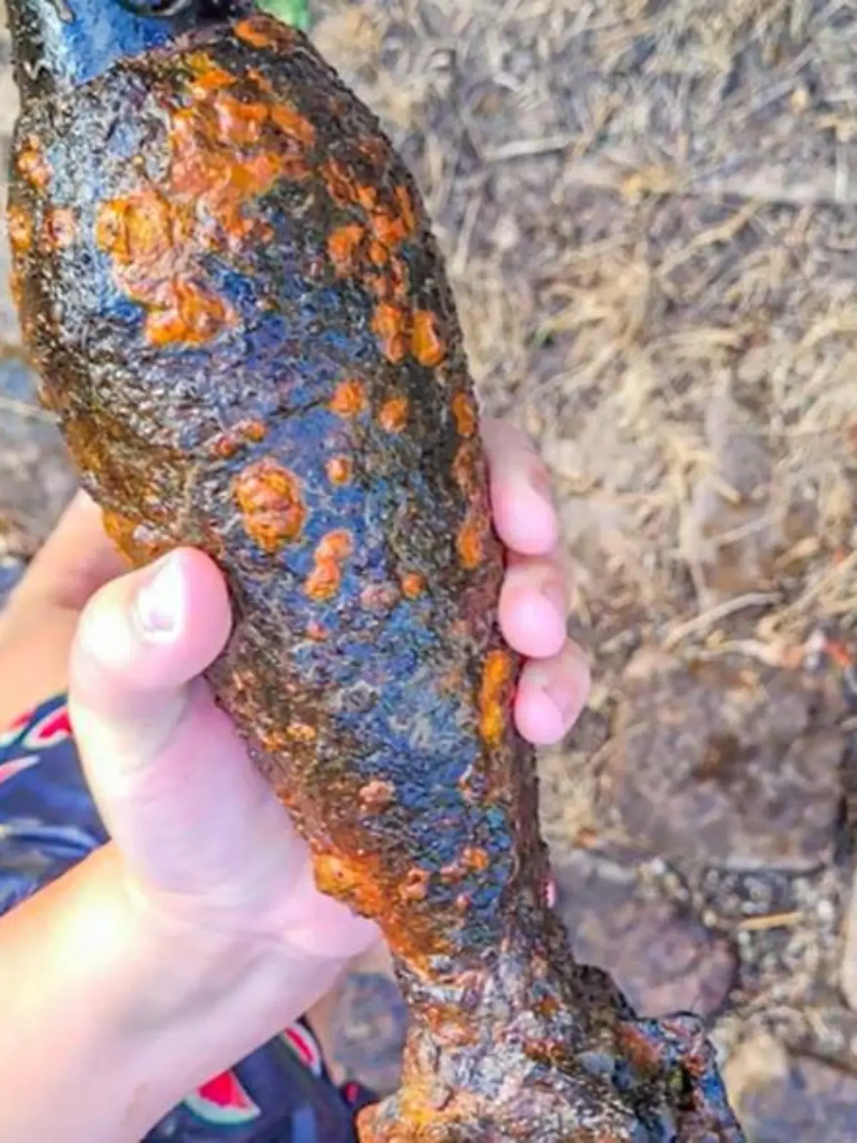 Ein Bombenfund in Rust ist zum Glück ohne schlimme Folgen ausgegangen.