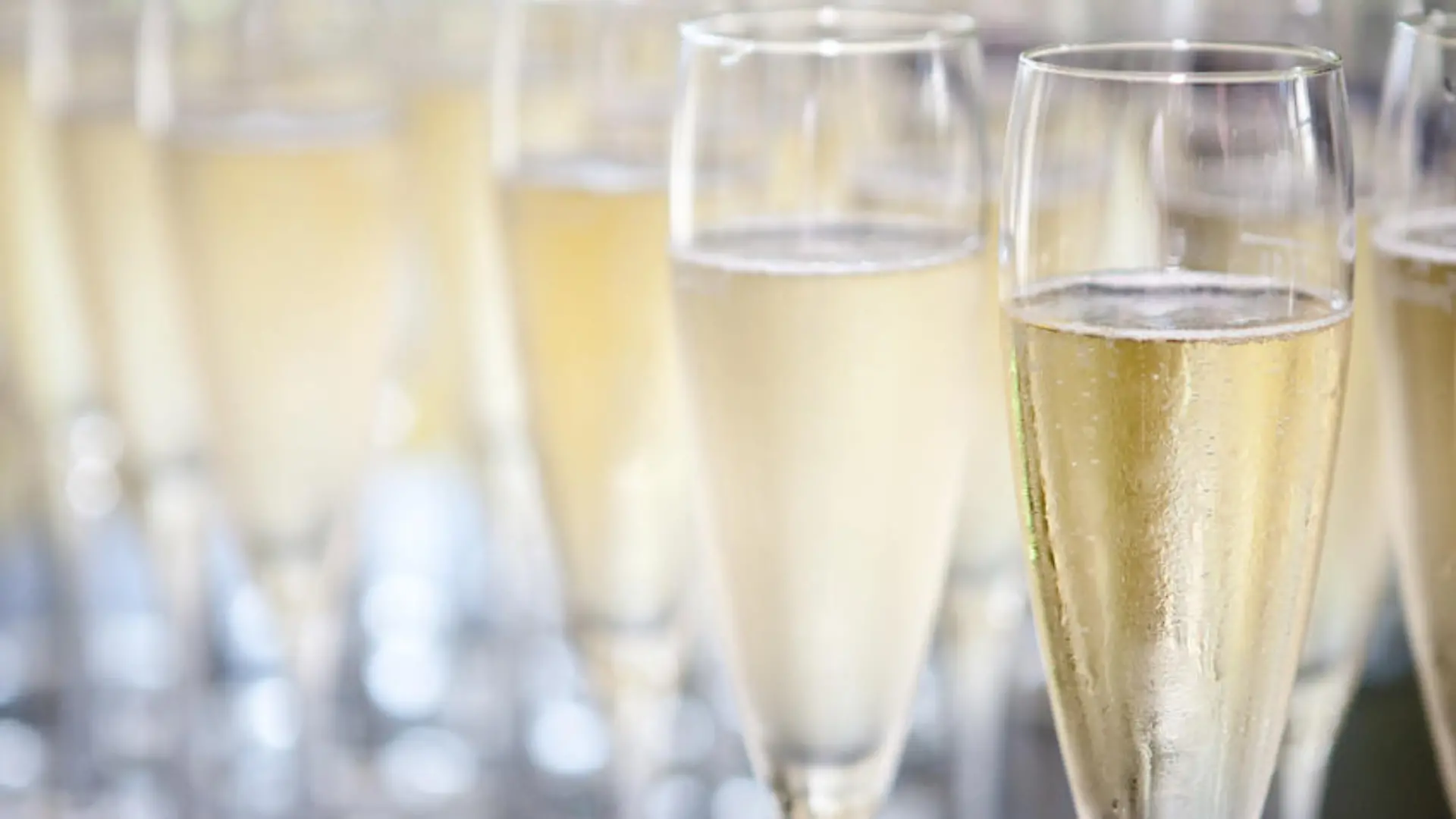 sekt sektempfang glas Fotolia 27279749 S.jpg