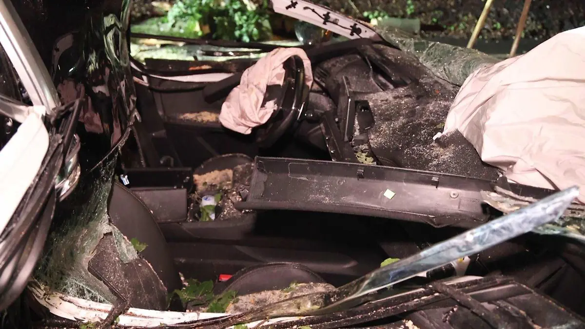 Iserlohn: Baum kracht in weißen Peugeot.
