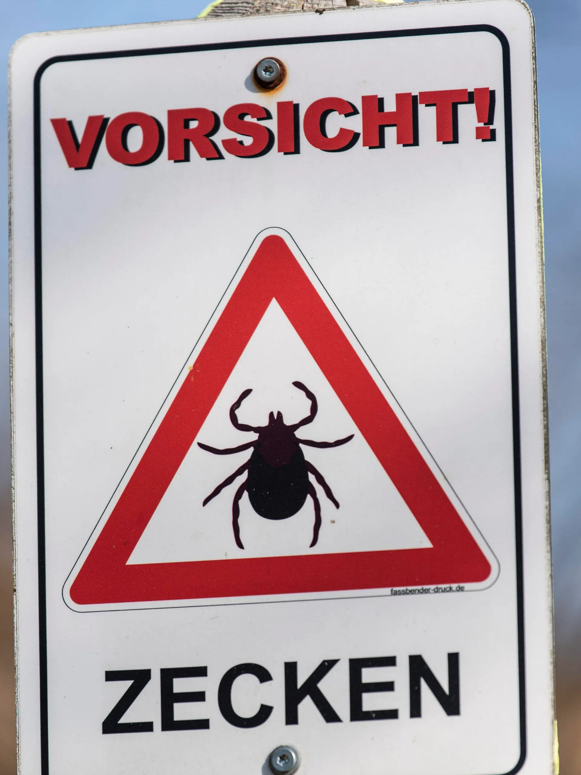ARCHIV - 25.03.2020, Baden-Württemberg, Hinterzarten: Ein Schild warnt vor Zecken. (zu dpa «Die Zecke dankt's: FSME-Zahlen steigen wegen Klimawandel und Virus») Foto: Patrick Seeger/dpa +++ dpa-Bildfunk +++