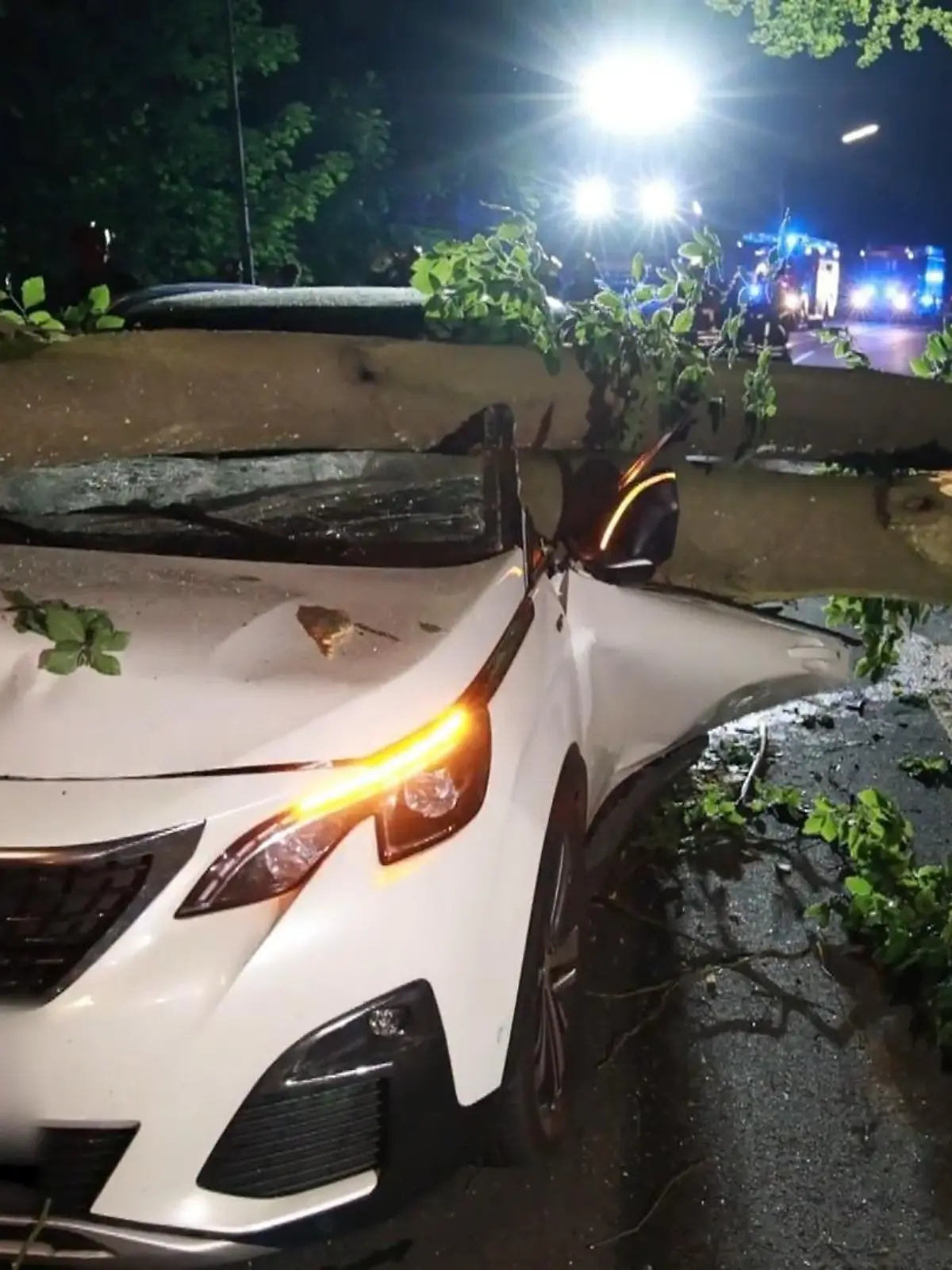 Bild zu: "Baum auf Auto in Iserlohn"