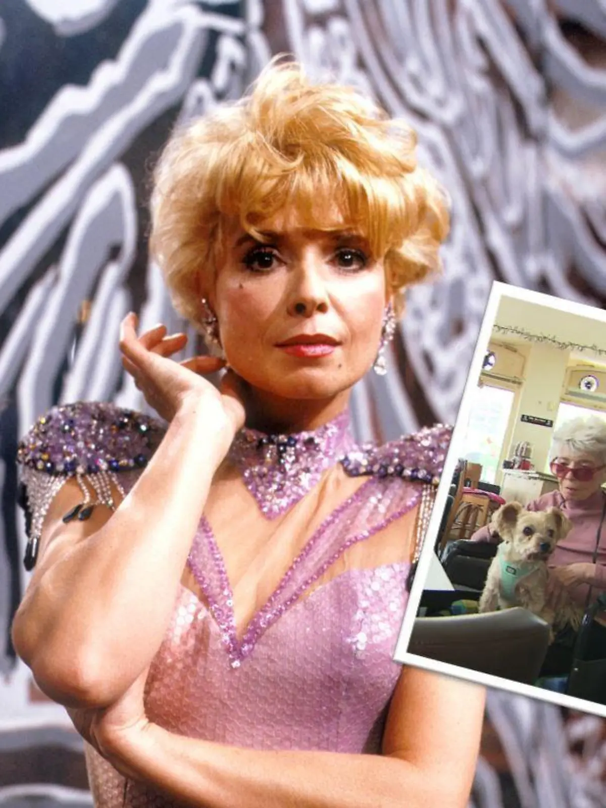 Sie wurde durch die TV-Serie „Klimbim“ berühmt: Ingrid Steeger