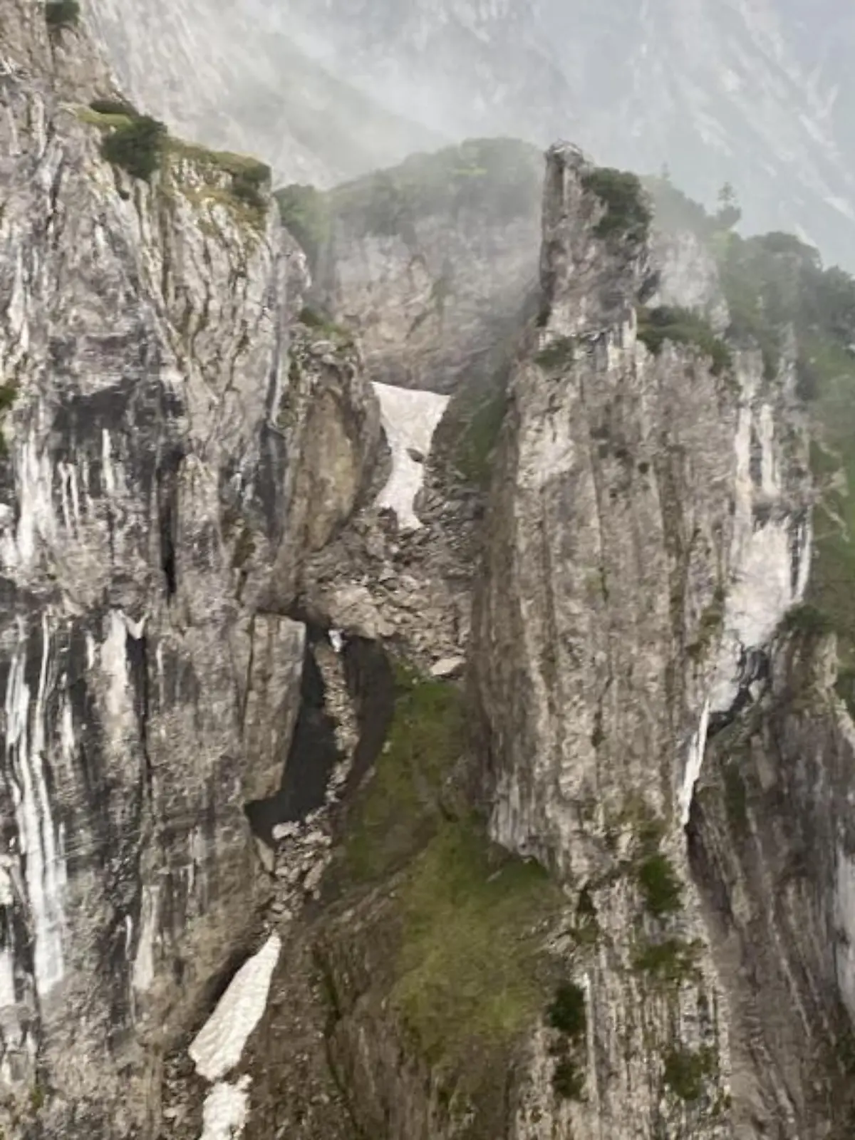 Zoom.Tirol