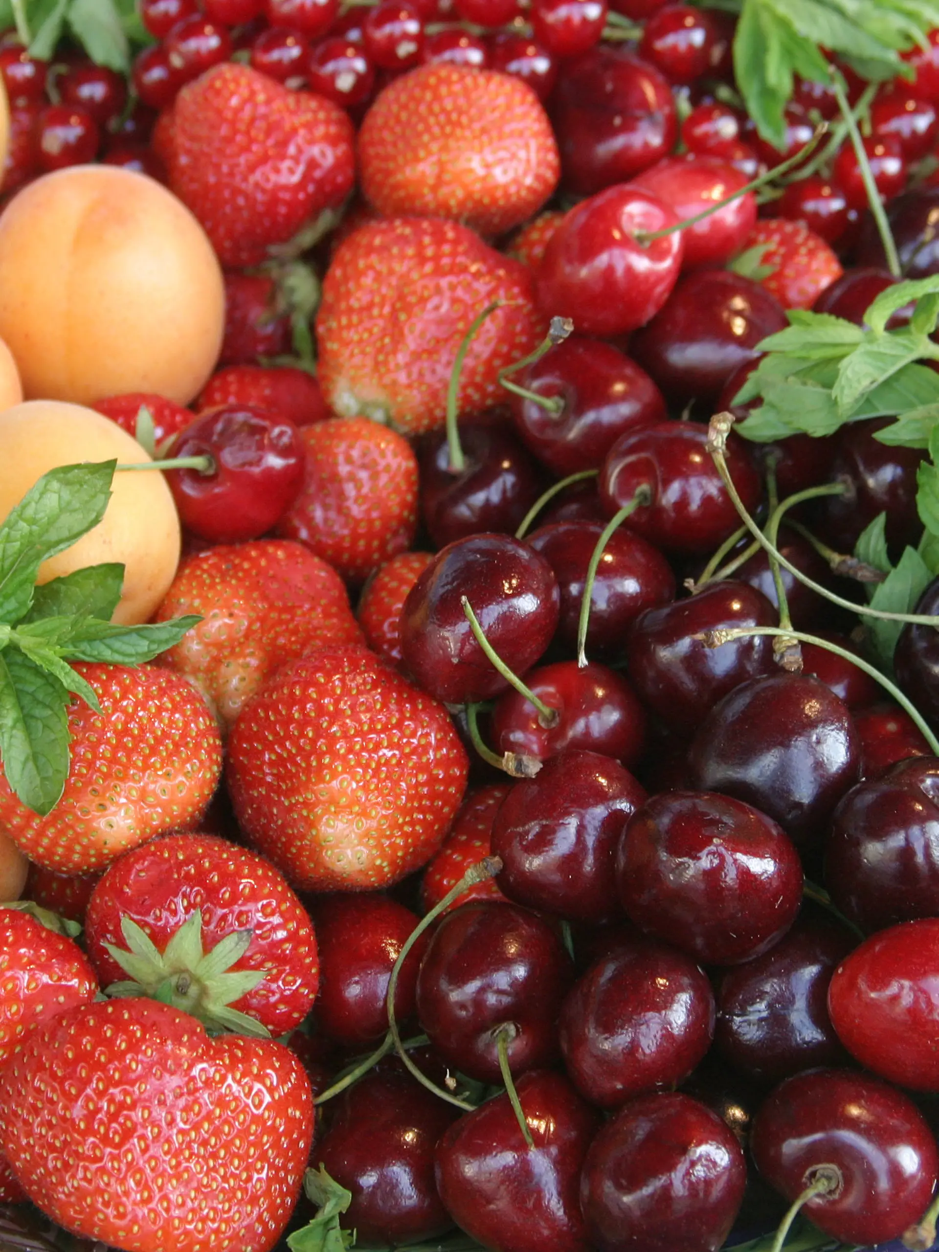 Eine schön dekorierte Schale mit frischem Obst steht am Montag auf einem Büfett, aufgenommen am 23.06.2008 beim ZDF-Sommerfest auf dem Gelände der Neuen Nationalgalerie in Berlin. Foto: Xamax +++(c) dpa - Report+++