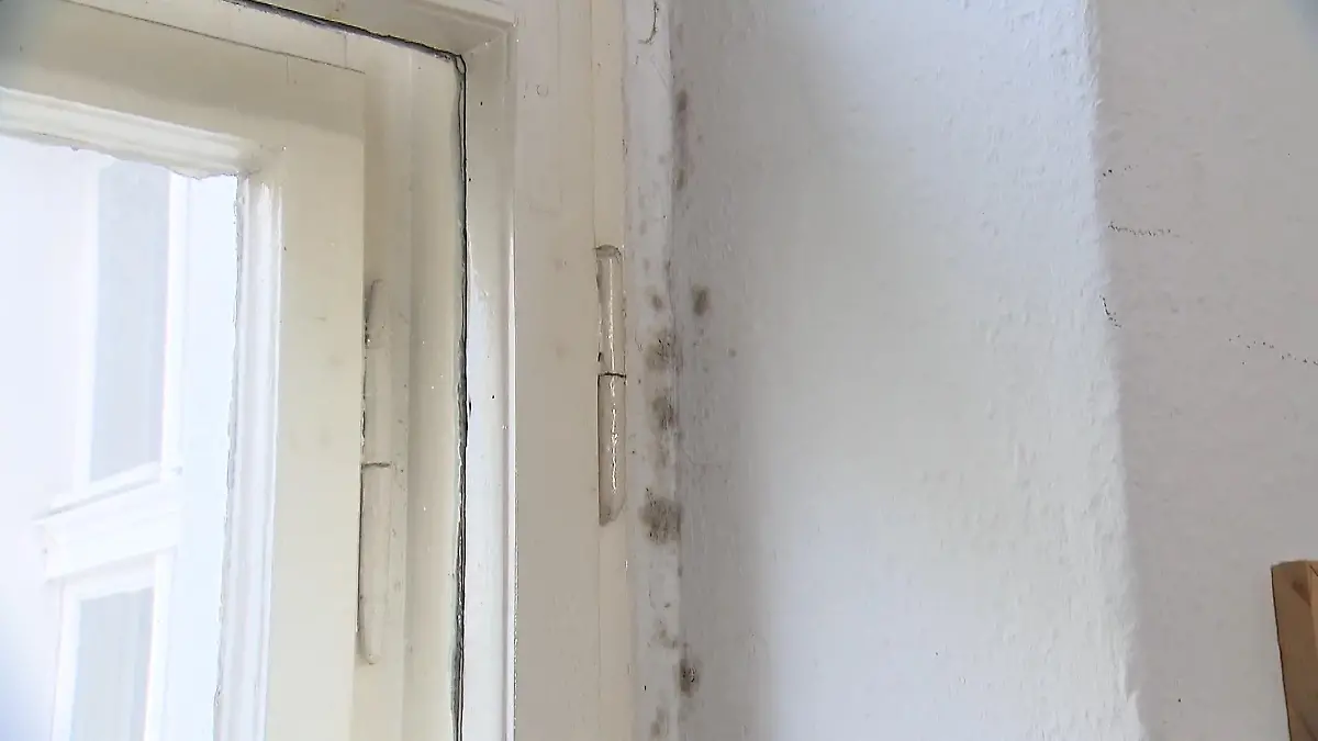 Schimmel an der Wand: Dieses Mittel hilft am besten 