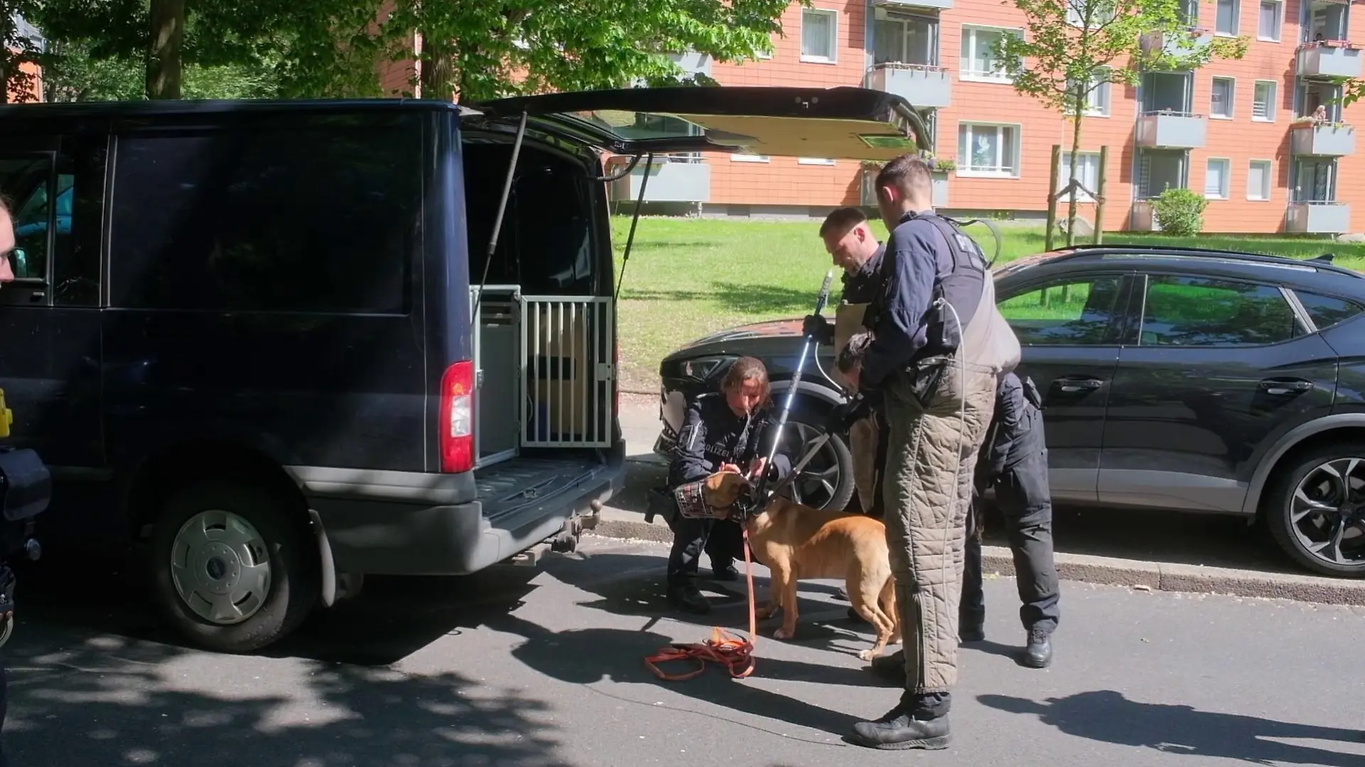 "Rocky" hat bereits zum zweiten Mal zugebissen.