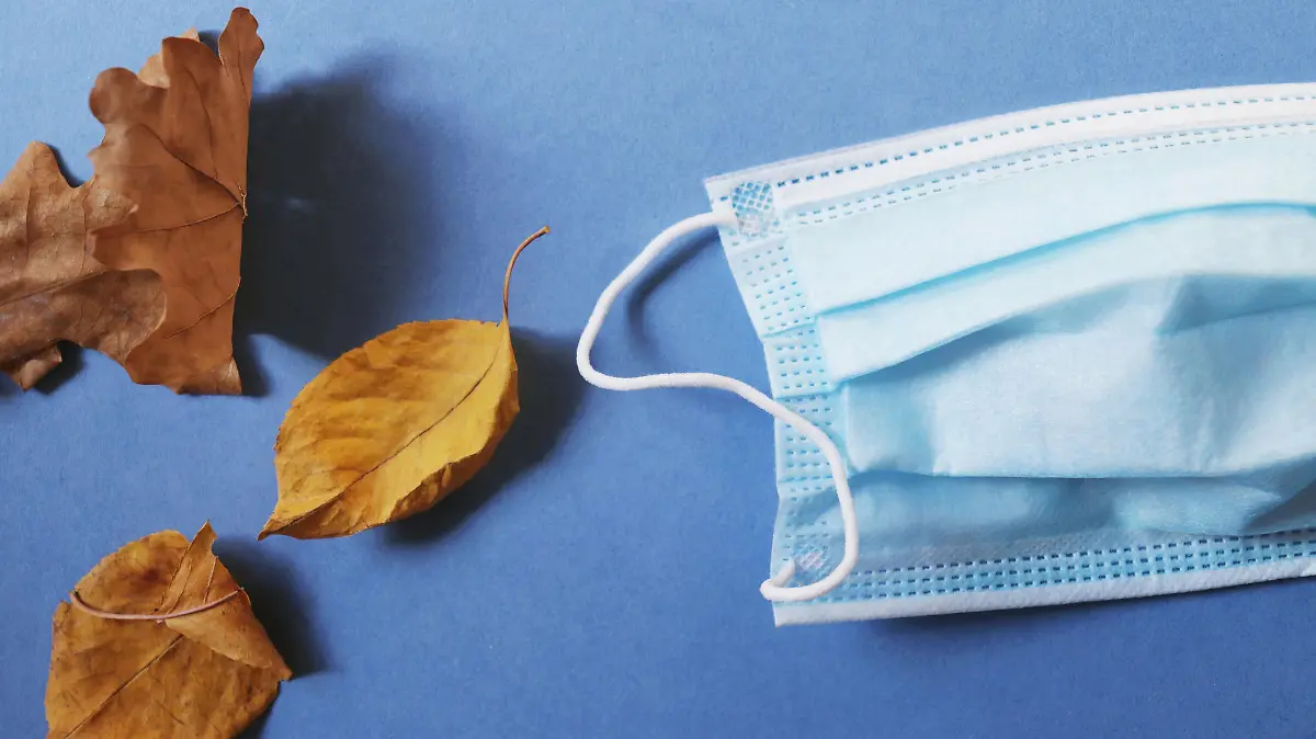 Disposable protective mask and yellow autumn leaves on a blue background