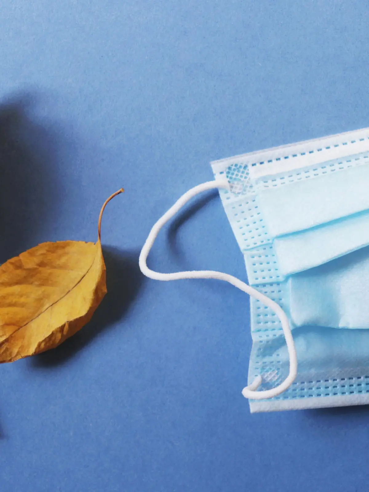 Disposable protective mask and yellow autumn leaves on a blue background