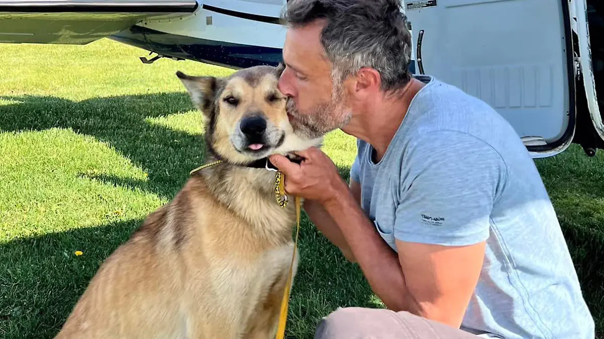 Schlittenführer Sebastien Dos Santos Borges und sein Schlittenhund Leon sind nach drei Monaten endlich wieder vereint.