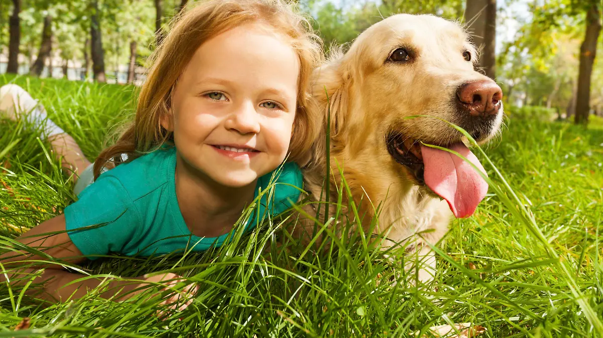 Funny wide angle portrait of happy smiling little girl and her happy golden retriever dog pet laying in the grass of sunny summer park