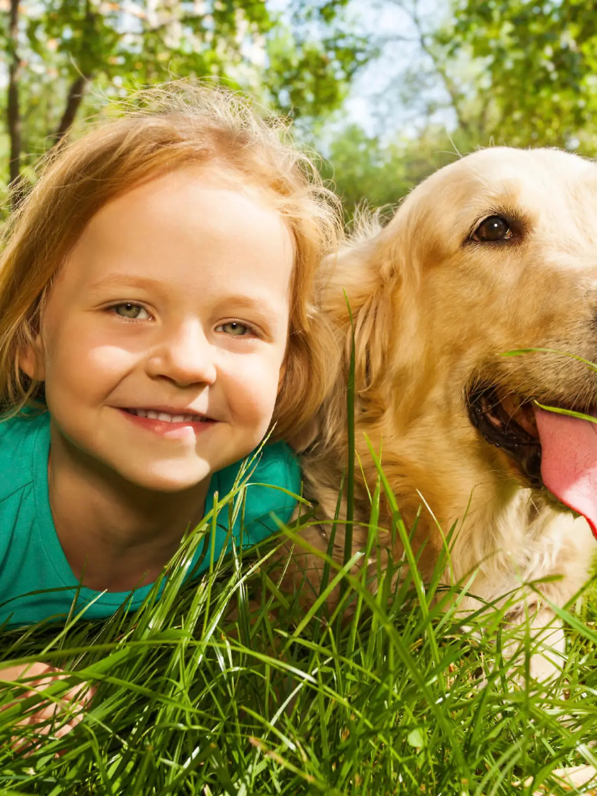 Funny wide angle portrait of happy smiling little girl and her happy golden retriever dog pet laying in the grass of sunny summer park