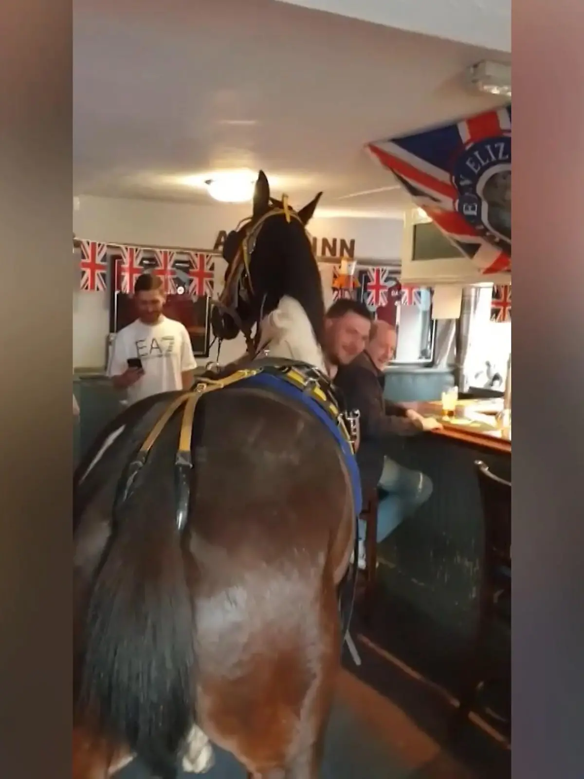 Bei Feierlichkeiten am Rande des 70. Thronjubiläums der Queen erregte ein Mann im britischen Burnley besonderes Aufsehen. Denn: Er kam hoch zu Ross in einen Pub.