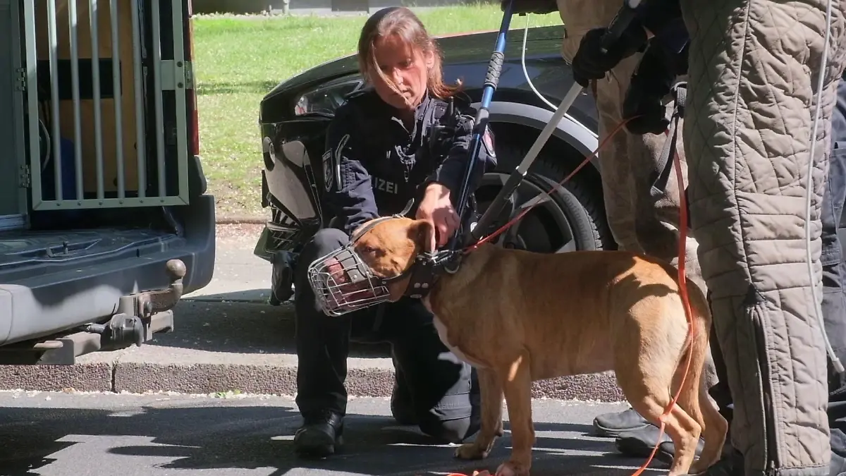 In Hamburg wurde ein Kleinkind von einem Hund angegriffen und fast zu Tode gebissen.