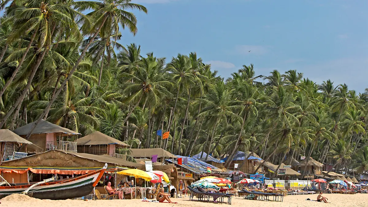 Sunshades bars and bungalows line attractive palm fringed beach Palolem south Goa India xCopyrightxAndrewxWoodley 4044_14_060309_goa_mg_8422