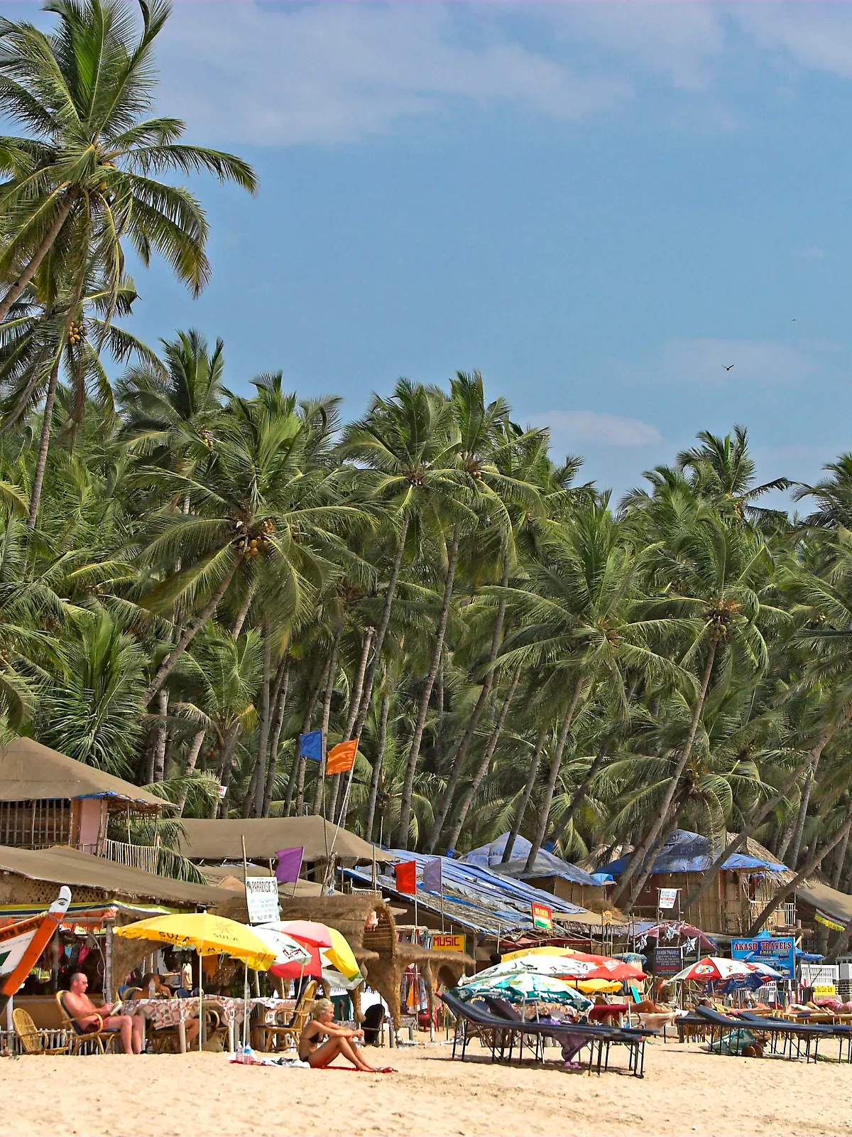 Sunshades bars and bungalows line attractive palm fringed beach Palolem south Goa India xCopyrightxAndrewxWoodley 4044_14_060309_goa_mg_8422 