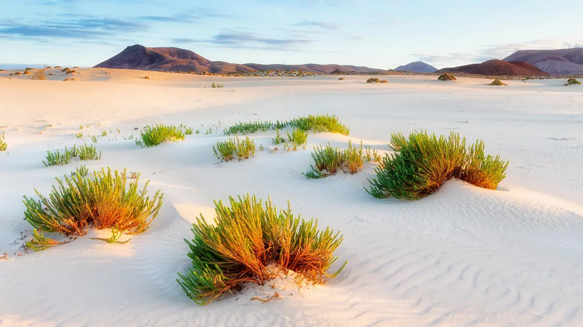 Das sind die Dünen Fuerteventura