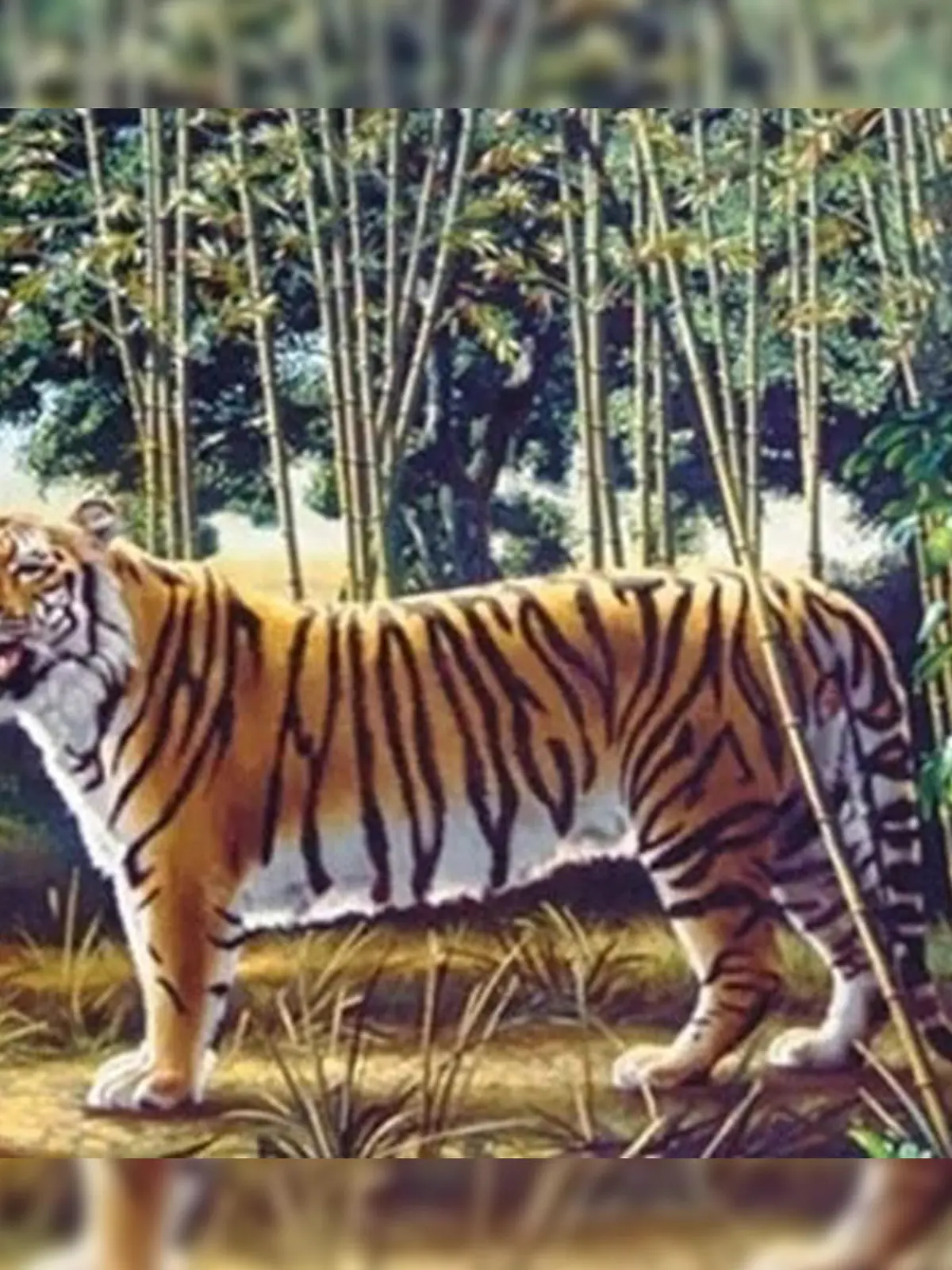 Optische Täuschung mit Tiger - hier hat sich eine Botschaft versteckt.