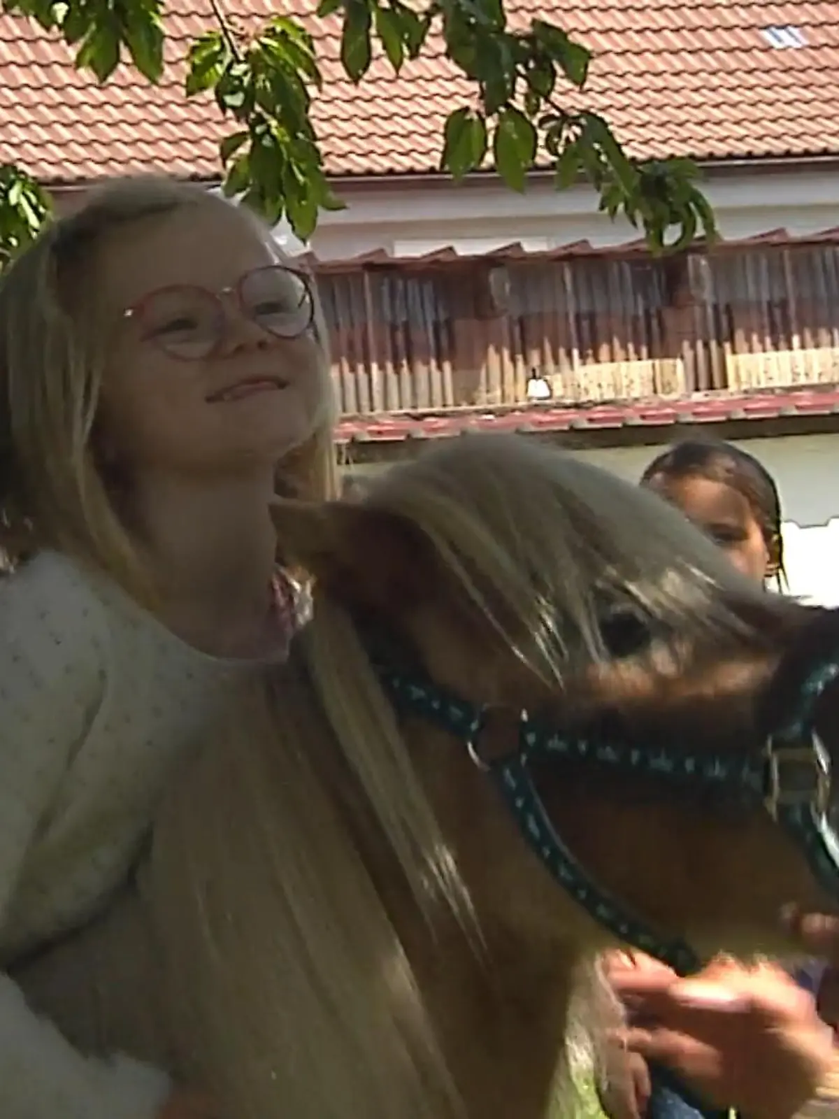 Bild zu: "Das wird jetzt für unsere Kinder getan"