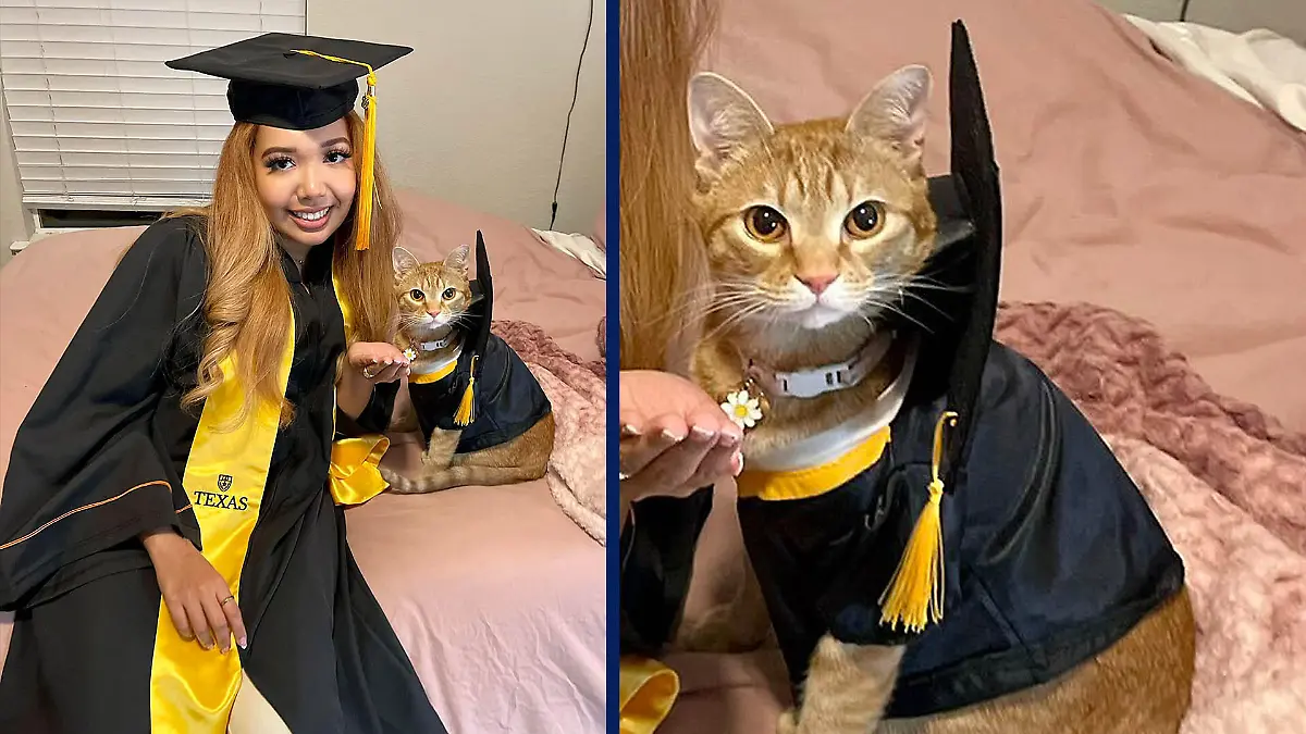 Frauchen Francesca Bourdier mit Katzen Suki, beide in Talar und Barrett