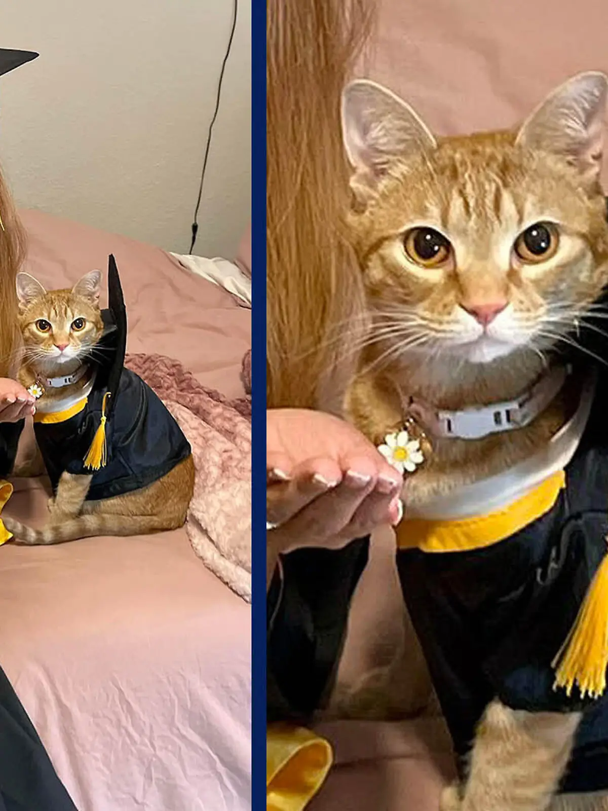 Frauchen Francesca Bourdier mit Katzen Suki, beide in Talar und Barrett