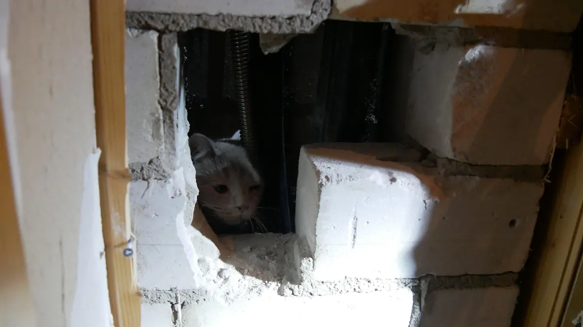 Einsatzstelle (Foto: Feuerwehr Celle)