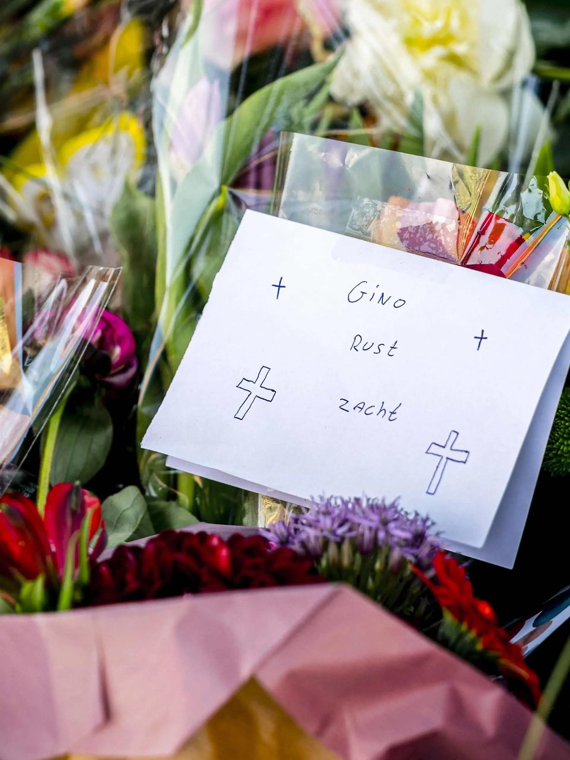  2022-06-04 18:32:09 KERKRADE - Flowers at the playground located at Hertogenlaan and Zonstraat, where 9-year-old Gino is said to have been last seen. Gino s family is in shock and intensely sad that the boy who has been missing since Wednesday has been found dead. A void that cannot be filled is stated in a statement on behalf of the family. ANP ROB ENGELAAR netherlands out - belgium out *** 2022 06 04 18 32 09 KERKRADE Flowers at the playground located at Hertogenlaan and Zonstraat, where 9 year old Gino is said to have been last seen Gino s family is in shock and intensely sad that the boy who has been missing since Wednesday has been found dead A void that cannot be filled is stated in a statement on behalf of the family ANP ROB ENGELAAR PUBLICATIONxINxGERxSUIxAUTxONLY Copyright: xx x449802209x originalFilename: 449802209.jpg