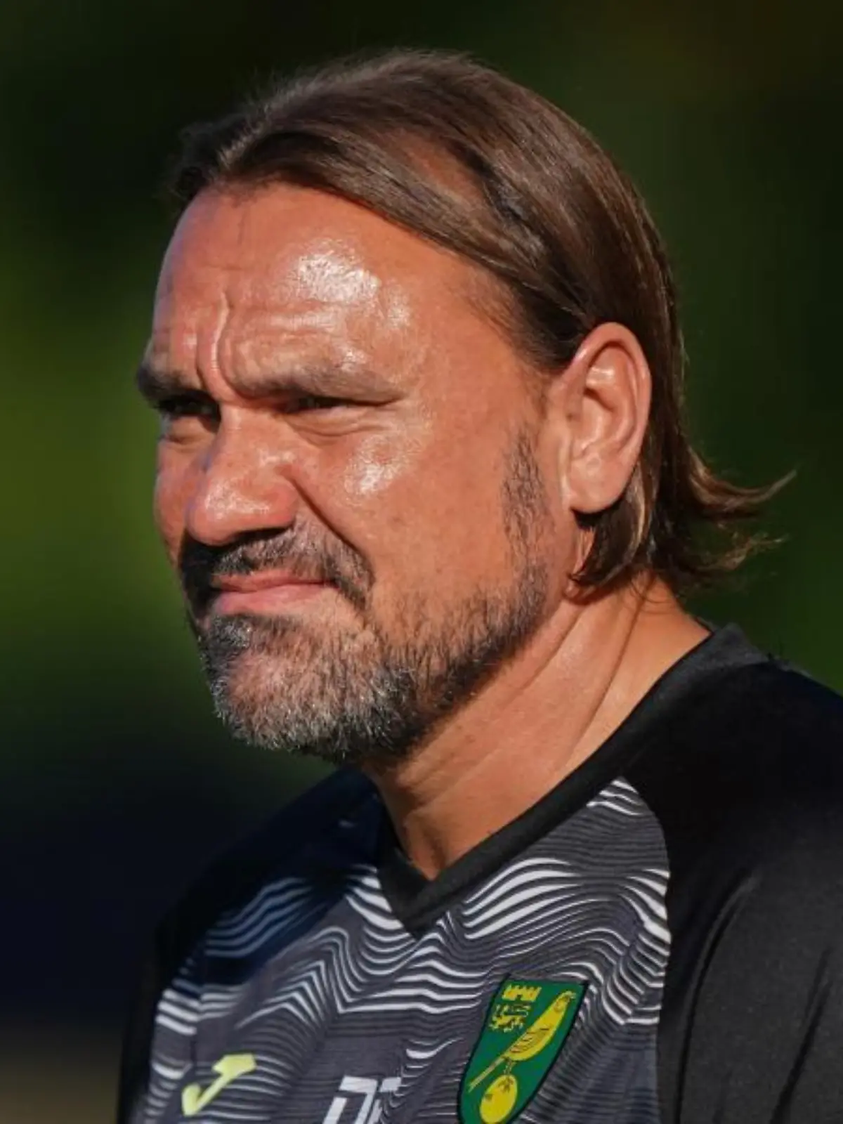 Daniel Farke