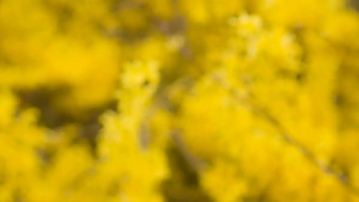 Junge Frau mit Allergie - woman with allergy Keine Weitergabe an Drittverwerter.