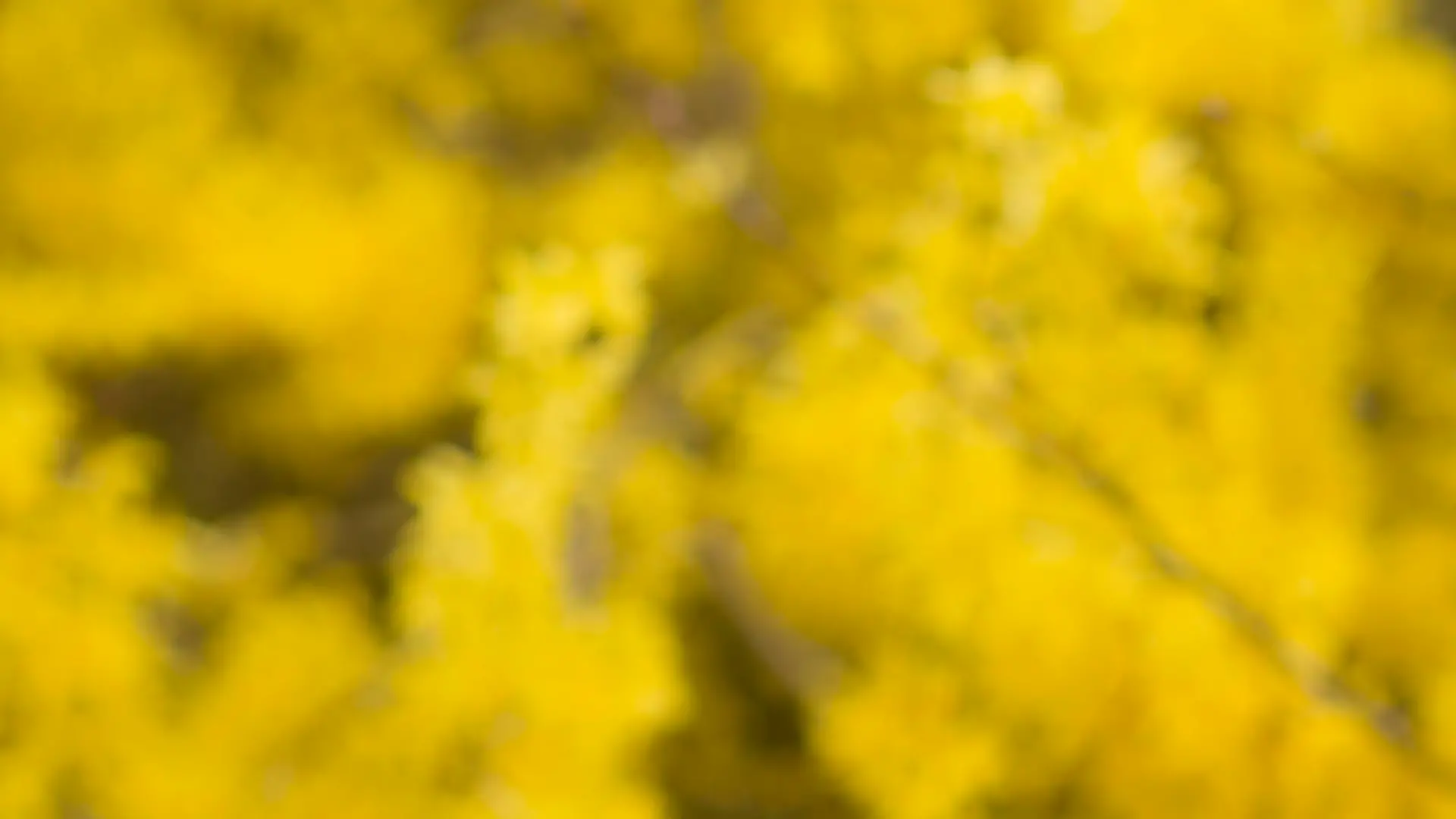 Junge Frau mit Allergie - woman with allergy Keine Weitergabe an Drittverwerter.