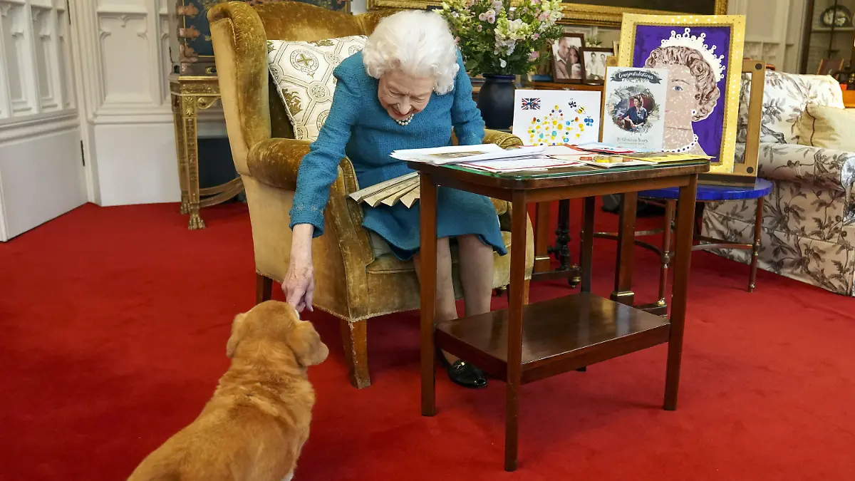 ARCHIV - 04.02.2022, Großbritannien, Windsor: Königin Elizabeth II. streichelt einen ihrer Hunde, einem Corgi namens Candy, während sie Erinnerungsstücke von ihrem Goldenen und Platin Thronjubiläum im Eichensaal von Schloss Windsor betrachtet. (zu dpa "Queens liebste Hunderasse im Königreich wieder auf dem Vormarsch") Foto: Steve Parsons/PA Wire/dpa +++ dpa-Bildfunk +++