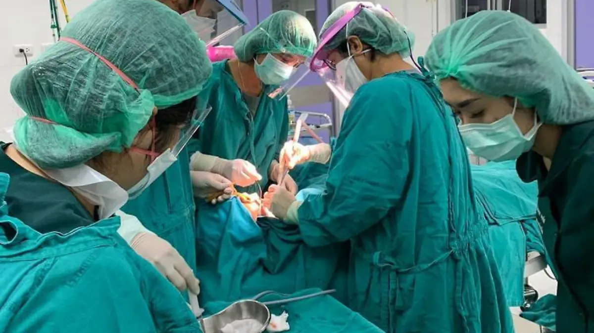 Doctors perform surgery to save the life of a fisherman after a fish leapt out of the water into his throat in a freak accident in Phatthalung, Thailand, on May 22, 2022. (Photo)

Doctors were baffled when the man arrived at the Phatthalung Provincial Hospital, claiming that a fish jumped inside his mouth on May 22.

A team immediately ran an x-ray on the fisherman and found the spiky freshwater Anabas fish lodged between his throat and nasal cavity as it tried to wriggle out through the man’s nose. 

The team of medics, two doctors assisted by three nurses, successfully removed the 5inch-long fish after a one-hour operation.

Hospital officer Sermsri Pathompanichrat said: ‘Our doctors worked hard to minimise the damage on our patient’s organs. They have successfully saved the patient.’

The doctors pulled the fish from the fisherman’s mouth as it was trying to wriggle out of his nose by passing through his throat.

When the fish was extracted, it was revealed to be a 5inch-long Anabas with sharp spikes, and covered in the man’s blood.

The unidentified patient told doctors he was spike-fishing with a harpoon under the surface of the water. He came up for air and at the same time, the Anabas coincidentally jumped out of the water and went straight into his mouth and down his throat.

The fish was stuck in his mouth and squeezed down his windpipe. He was rushed to the hospital after onlookers saw him appearing to gasp for air as he held his throat.

The fisherman was treated and is now in stable condition and recovering at the hospital from his operation wounds.

Hospital officer Sermsri Pathompanichrat added: 'The chances of this happening are very low. I have never seen this kind of case before.'

Anabas fish are freshwater carnivorous fish, that feed on insects and larvae.
