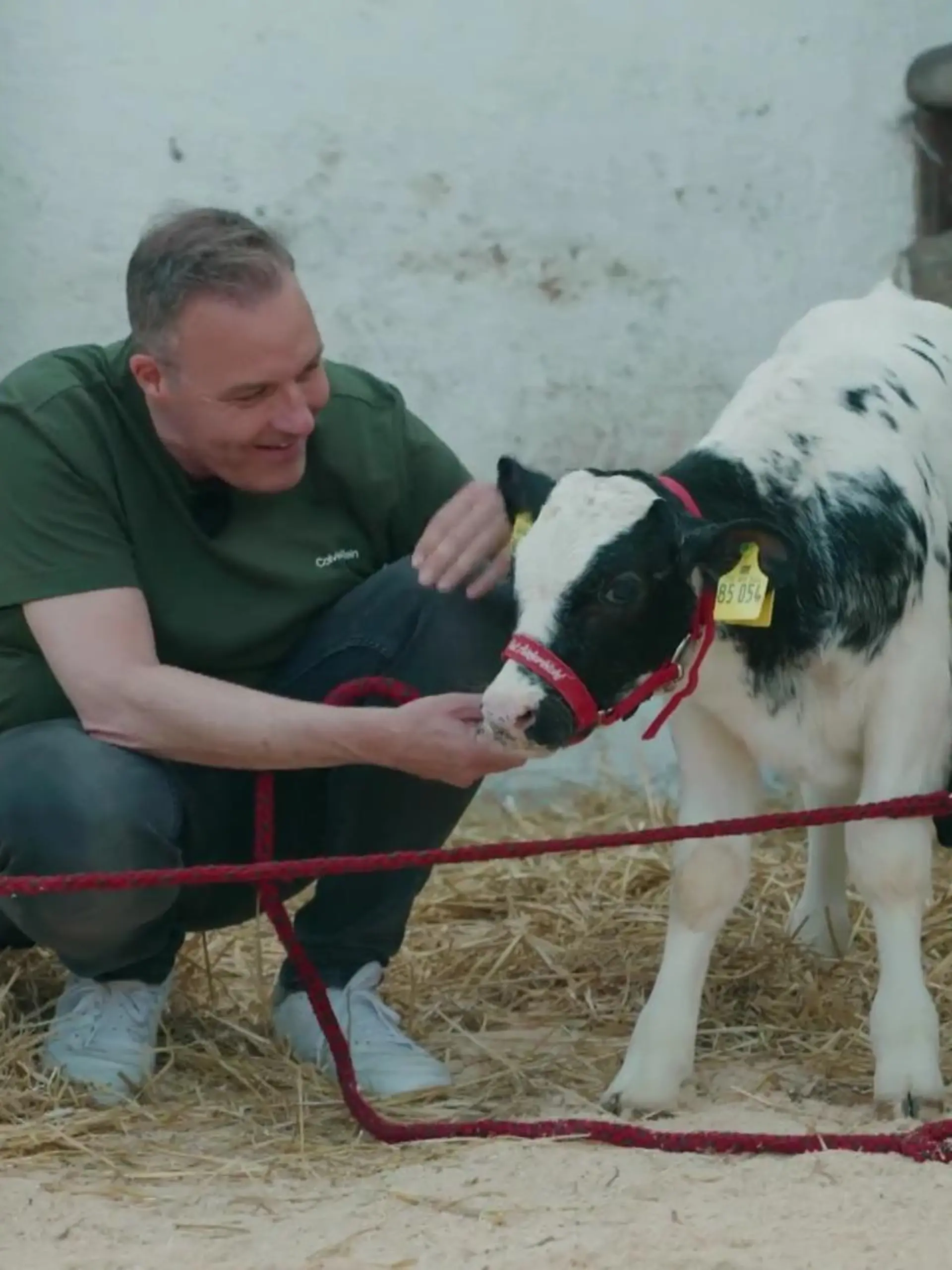 Bullenkälbchen Prinz ist gerade mal drei Wochen alt, und sein Schlachttermin steht schon fest! Trauriger Alltag in Deutschland, denn männliche Rinder sind für die Milchwirtschaft nicht rentabel. Sie werden, wie männliche Küken, einfach entsorgt. Eine engagierte Zuschauerin bittet mich um Hilfe, als sie den kleinen Bullen auf einem Hof in der Eifel entdeckt und von seinem traurigen Schicksal erfährt. Sofort läuft unsere Rettungsaktion an, und dabei passiert Unglaubliches, wie Sie im Video sehen.