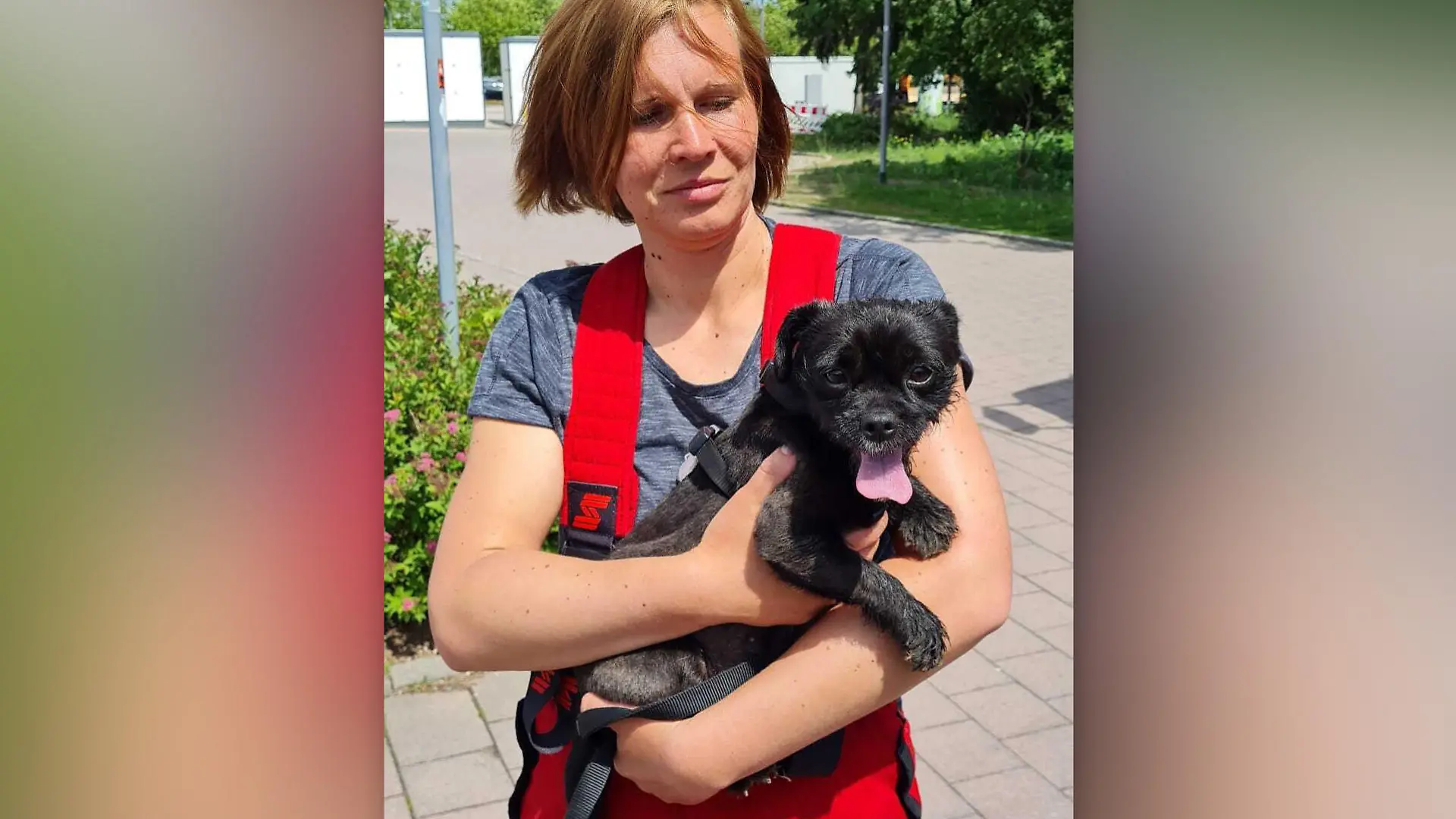 Die Freiwillige Feuerwehr Torgau retten den kleinen Hund aus dem heißen Auto.