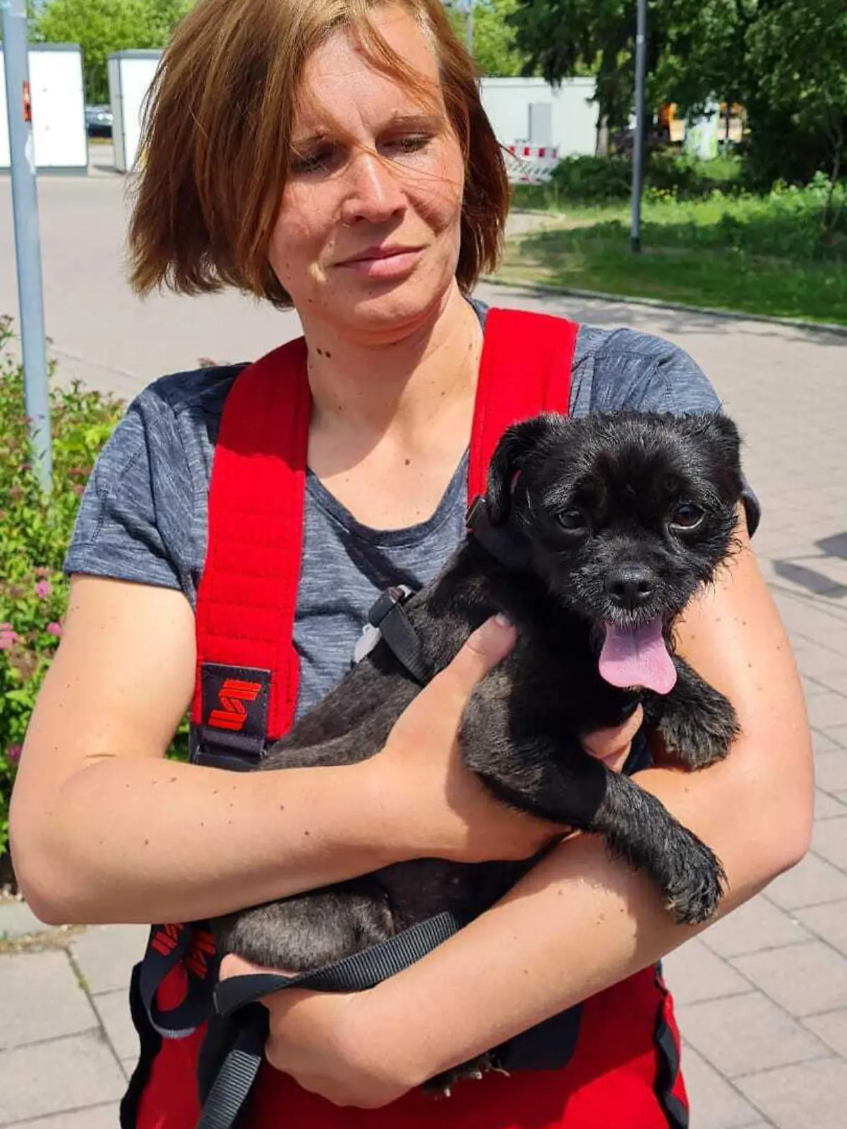 Die Freiwillige Feuerwehr Torgau retten den kleinen Hund aus dem heißen Auto.