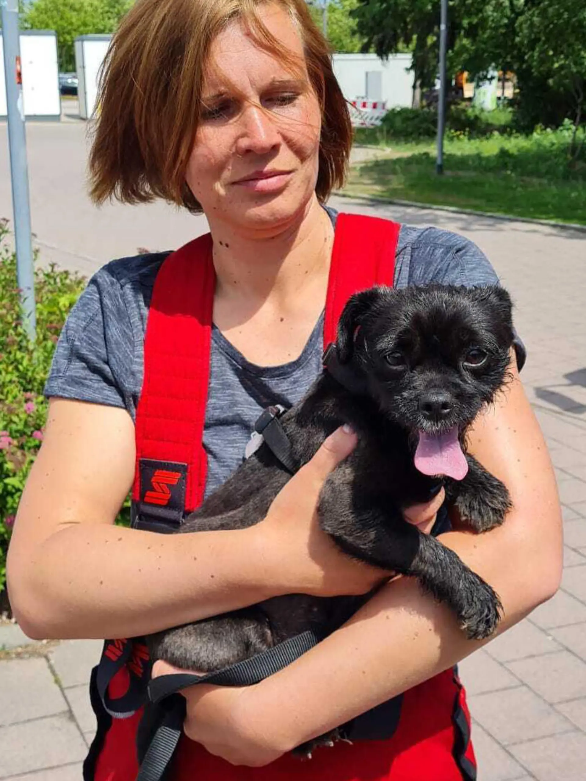 Die Freiwillige Feuerwehr Torgau retten den kleinen Hund aus dem heißen Auto.