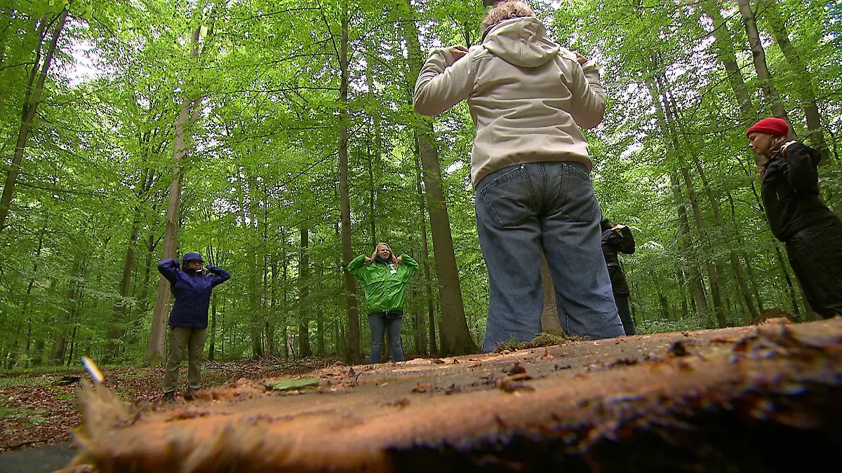 Eine Gruppe führt im Sachsenwald bei Hamburg die KWT durch.