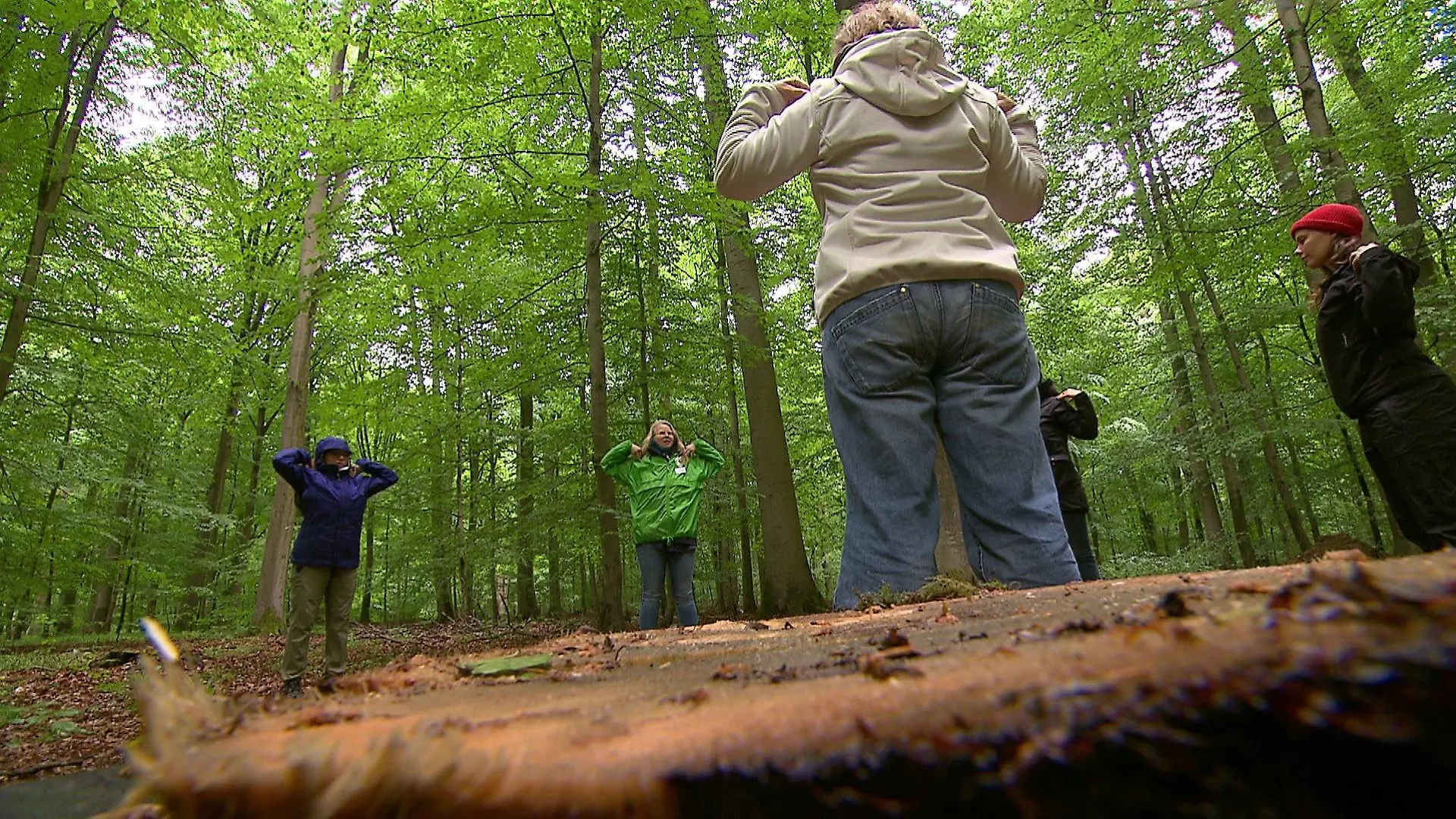 Eine Gruppe führt im Sachsenwald bei Hamburg die KWT durch.
