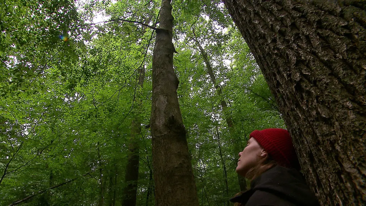 Psychologie-Studentin Lara-Neomie Wurr nimmt an der Studie im Sachsenwald teil.