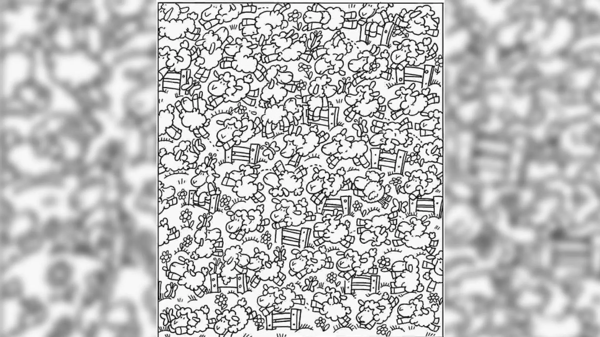Suchbild Küken zwischen Schafen