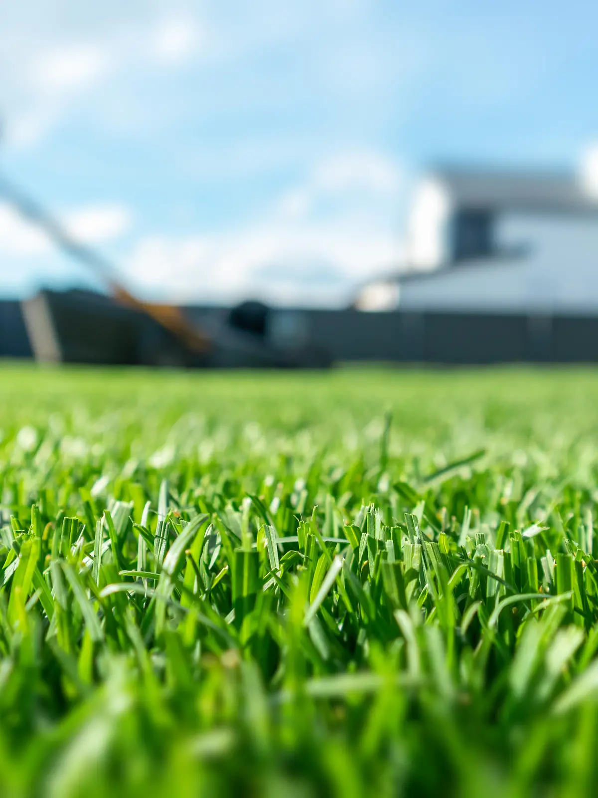 Spring season sunny lawn mowing in the garden. Lawn blur with soft light for background. Selective focus