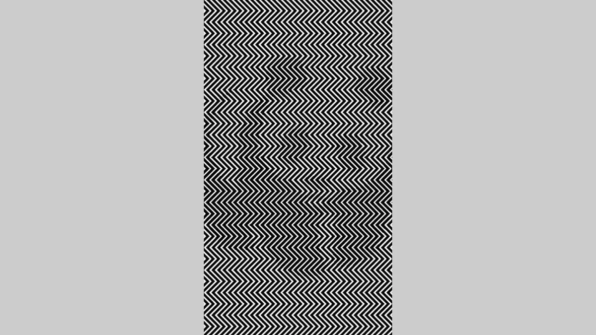 Linien, hinter denen ein Panda liegt