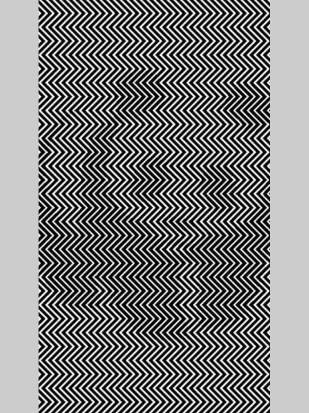 Linien, hinter denen ein Panda liegt