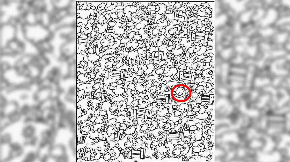 Auflösung Küken-Suchbild
