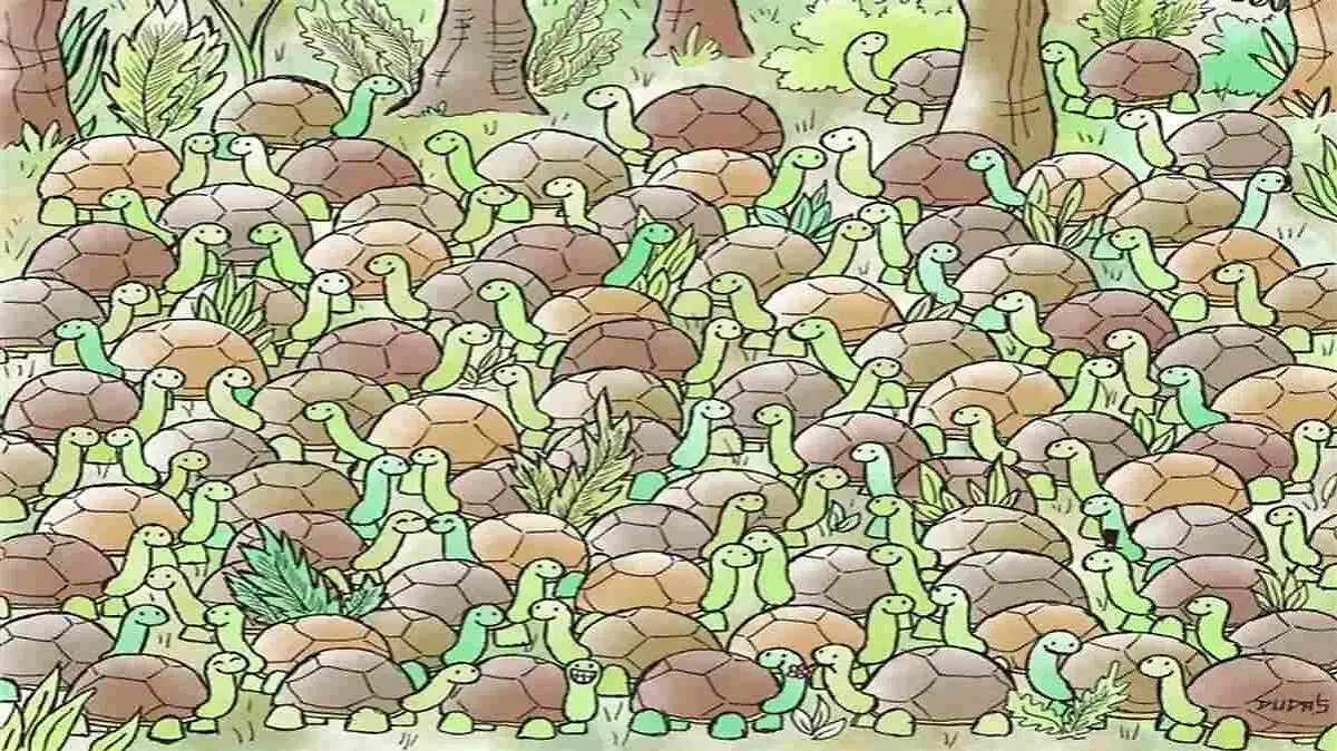 Suchbild Schlange inmitten der Schildkröten